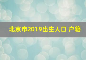 北京市2019出生人口 户籍